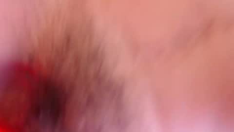 estelamaris online show from January 2025 12:28:02 PM