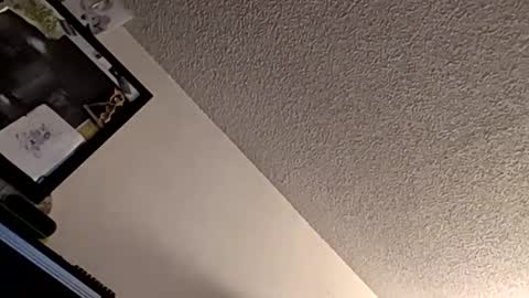 et528007 online show from November 2025 05:07:02 AM