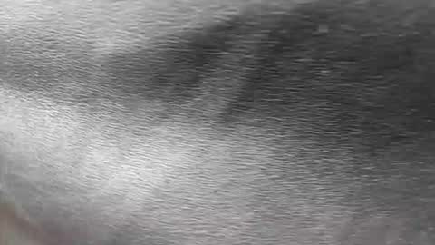 greetings  sergi  online show from November 2025 06:56:02 PM