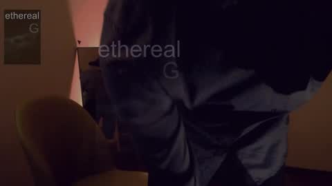 Snapshot of etherealg chatting on February 2025 08:35:02 PM G online show from February 2025 08:35:02 PM