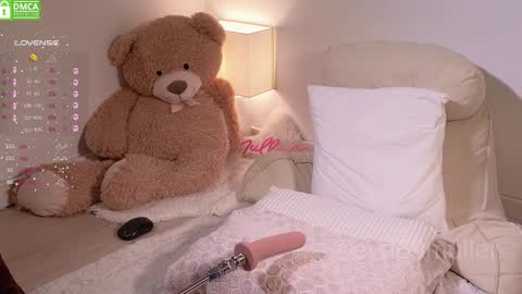 Snapshot of eva69muller chatting on January 2025 12:18:01 PM Eva  next show  8pm CEST AMST online show from January 2025 12:18:01 PM