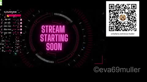 Snapshot of eva69muller chatting on January 2025 09:30:01 AM Eva  next show  8pm CEST AMST online show from January 2025 09:30:01 AM