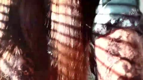 Snapshot of eva_depp chatting on January 2025 12:27:02 PM Evaa Depp online show from January 2025 12:27:02 PM