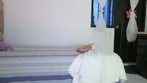 Eva Sin online show from June 2026 11:25:01 PM