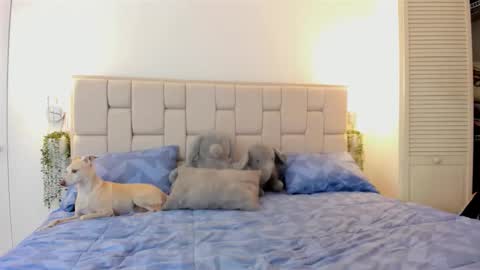 even_scoty online show from October 2025 12:23:02 PM