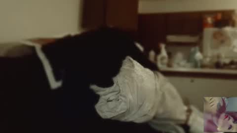 Exoticlexxii online show from September 2025 08:08:02 PM