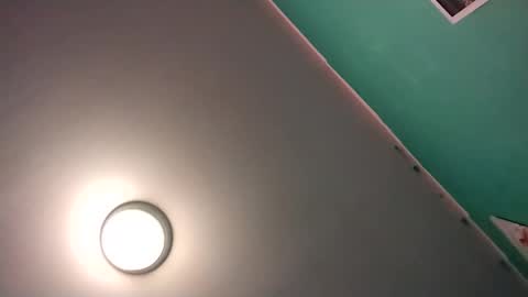 Snapshot of experttreecompany chatting on February 2026 08:43:02 AM experttreecompany online show from February 2026 08:43:02 AM