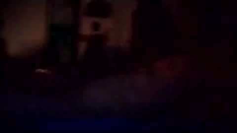 Snapshot of experttreecompany chatting on March 2026 12:11:01 PM experttreecompany online show from March 2026 12:11:01 PM