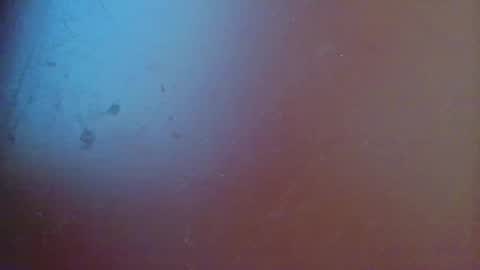 Snapshot of fabi_calde chatting on February 2025 06:21:01 PM fabi online show from February 2025 06:21:01 PM