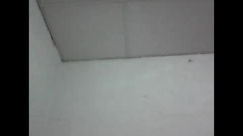 Snapshot of fabiar11 chatting on May 2026 04:39:02 AM R online show from May 2026 04:39:02 AM