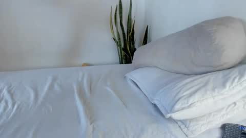 -  A N D E R online show from October 2025 02:17:02 PM