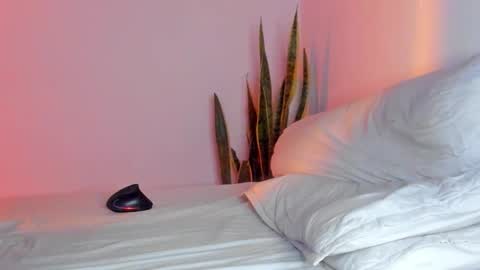 -  A N D E R online show from November 2025 01:59:02 AM