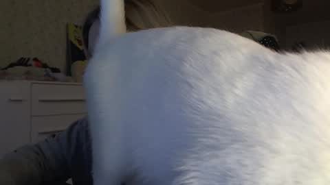 Arisha online show from November 2025 01:01:02 PM