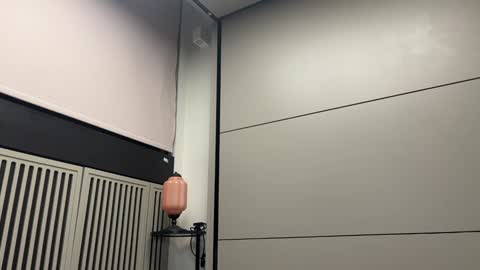 Gattino online show from February 2025 12:49:02 AM