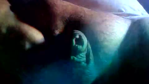 Snapshot of fatguyslonleydick chatting on February 2026 07:23:01 AM thiccDaddy online show from February 2026 07:23:01 AM