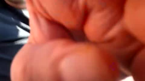 fatso21 online show from March 2025 12:33:02 PM