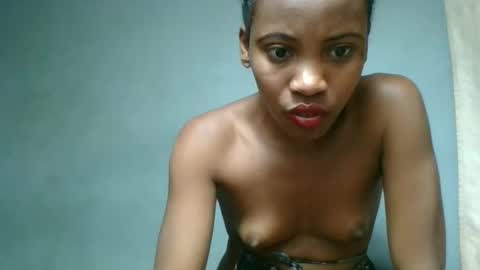 fayence09 online show from September 2025 09:36:02 PM