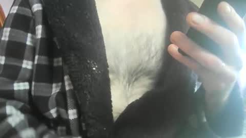 feardubh online show from February 2026 11:43:02 AM