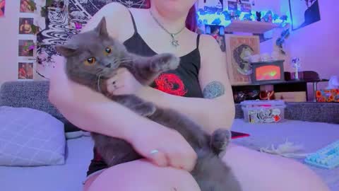 Diva online show from February 2026 02:06:02 AM