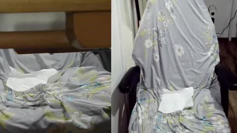 felixlau online show from January 2025 12:06:02 PM