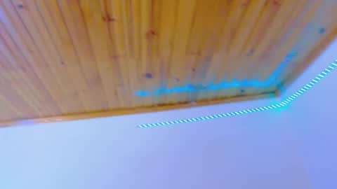 stefannia online show from February 2026 10:59:02 PM