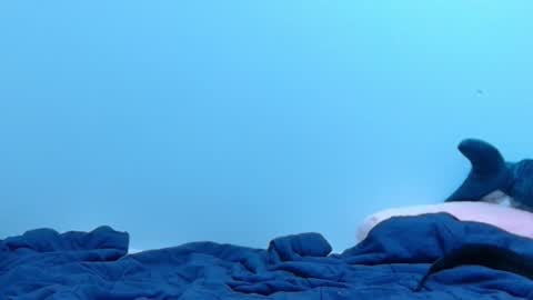 FE fee online show from February 2025 02:09:02 AM