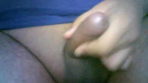 Fer online show from February 2025 12:06:02 PM