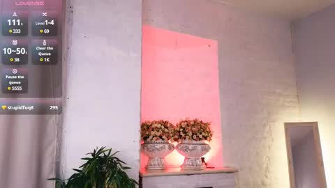 Snapshot of ferry_tail chatting on February 2025 04:53:01 PM ferry_tail online show from February 2025 04:53:01 PM