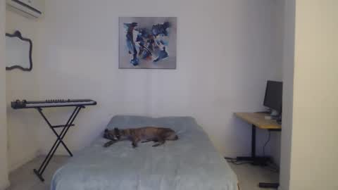 Snapshot of feuerfree chatting on February 2025 12:09:02 PM FeuerHeat online show from February 2025 12:09:02 PM