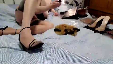 ffst0ckings online show from January 2025 08:00:01 PM