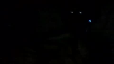 filippo online show from September 2025 09:41:02 AM