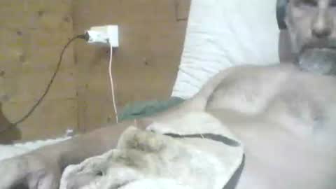 Snapshot of filip1981 chatting on May 2026 07:34:01 PM filippo online show from May 2026 07:34:01 PM