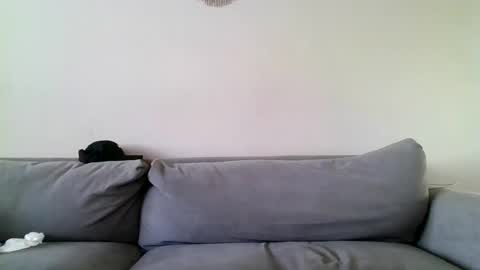 MilfnDaddy online show from December 2024 06:53:01 PM