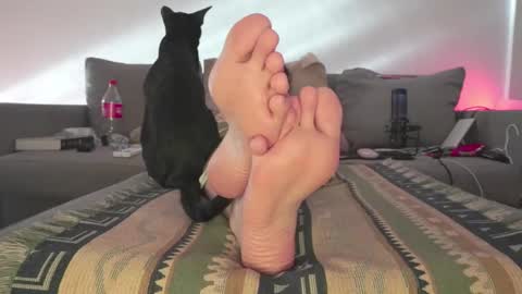 Snapshot of findomfeet_ chatting on March 2025 08:12:01 PM Ashley online show from March 2025 08:12:01 PM