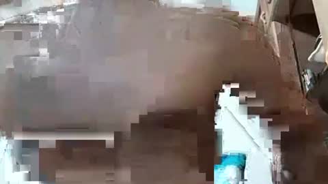 Snapshot of fitchestabs_69 chatting on December 2024 03:25:01 AM fitchestabs_69 online show from December 2024 03:25:01 AM