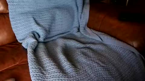 Snapshot of fitstevie1 chatting on January 2025 11:27:01 PM fitstevie1 online show from January 2025 11:27:01 PM