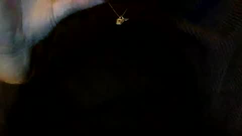 Snapshot of floraexploration chatting on December 2024 06:27:01 PM floraexploration online show from December 2024 06:27:01 PM