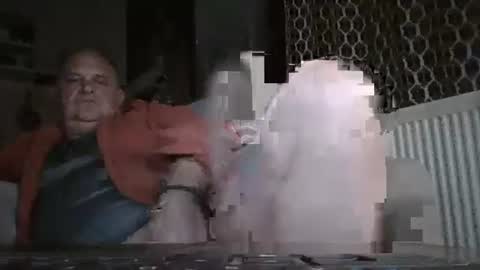 fofodi online show from November 2025 09:50:01 PM