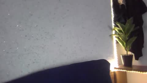 fox_red_lady7 online show from February 2025 08:42:01 AM