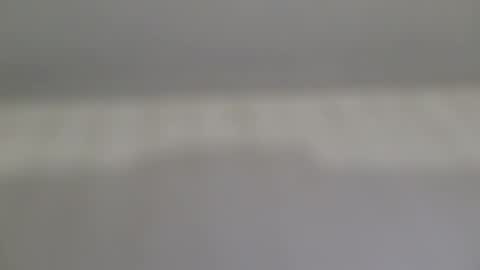 Snapshot of foxlab9499 chatting on May 2026 02:42:01 AM foxlab9499 online show from May 2026 02:42:01 AM