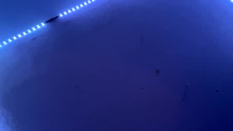 Freakymaa online show from June 2026 04:54:02 AM