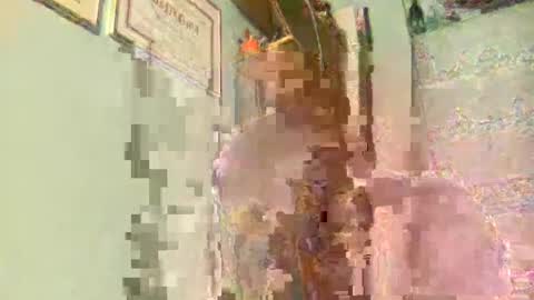 freddy3399 online show from December 2024 02:44:02 AM