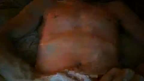 free willy online show from November 2025 04:46:01 PM