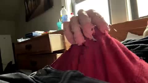 Snapshot of freezeskiii chatting on November 2025 07:51:02 PM freezeskiii online show from November 2025 07:51:02 PM