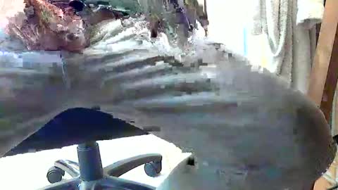 Snapshot of frenchpapalover chatting on February 2025 01:14:01 PM frenchpapalover online show from February 2025 01:14:01 PM