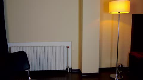 Snapshot of friend123211 chatting on February 2025 03:32:02 AM Viktor online show from February 2025 03:32:02 AM