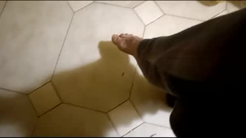 Hornycouple1386 online show from February 2025 03:26:01 AM