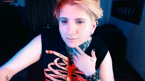          HEHIM  online show from November 2025 03:12:02 AM