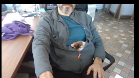 Bruchus online show from November 2025 09:42:02 AM