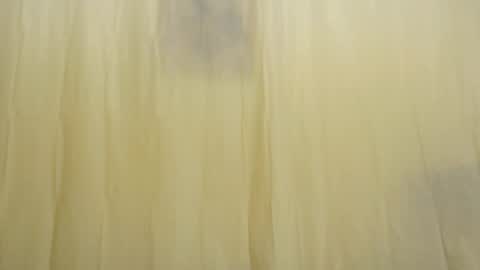 Fun4Tips online show from February 2025 03:28:02 PM